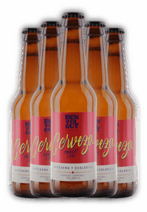 Benvolgut: Lote Sixpack de 6 cervezas Pensat i Fet